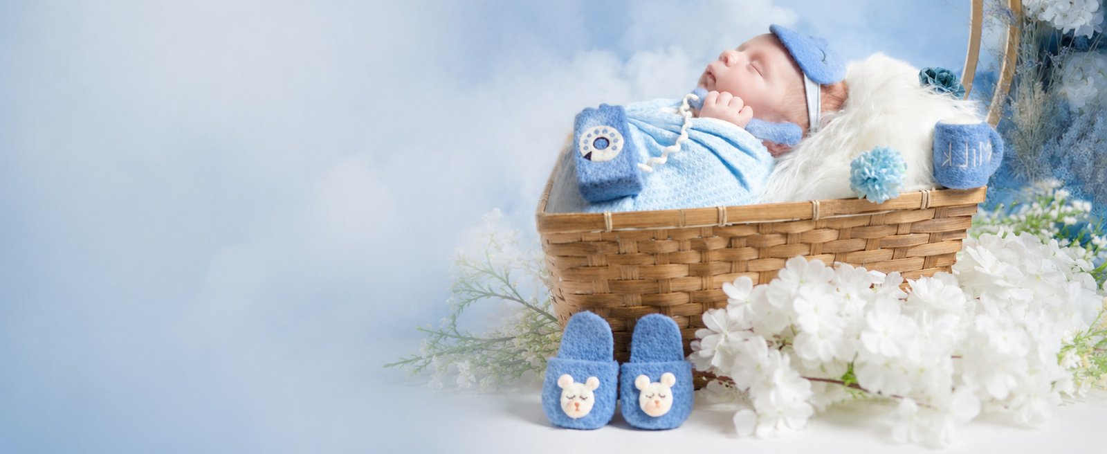 Baby and family photography banner 5