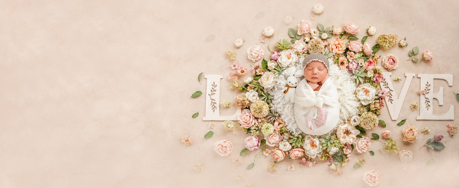 Baby and family photography banner 3