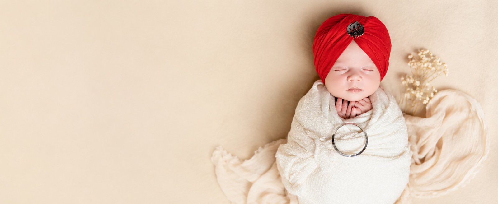 Baby and family photography banner 1