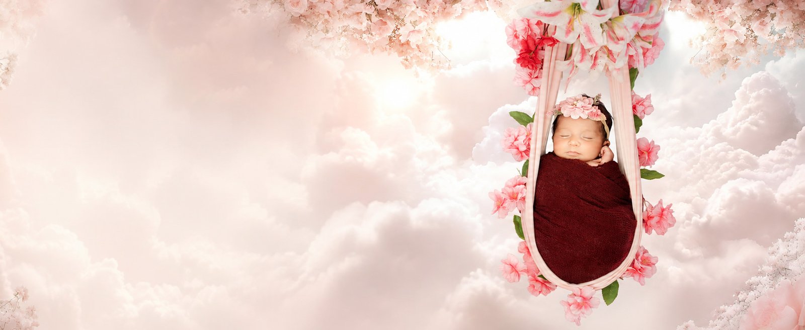 Baby and family photography banner 5
