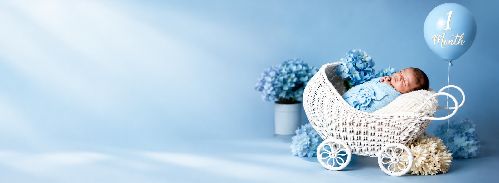 Baby and family photography banner 4