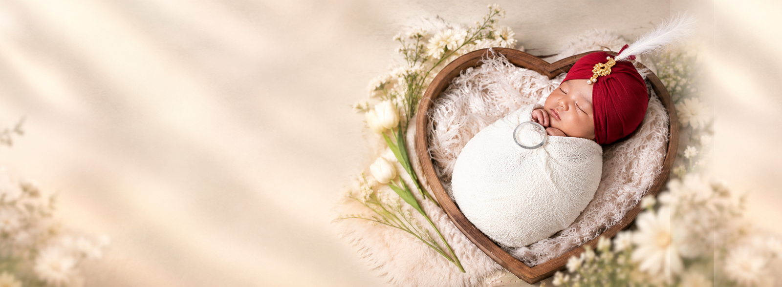 Baby and family photography banner 4